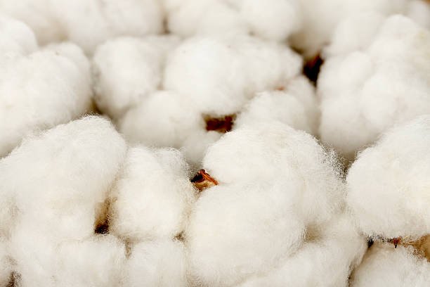 what is the difference between a natural fiber and a synthetic fiber?