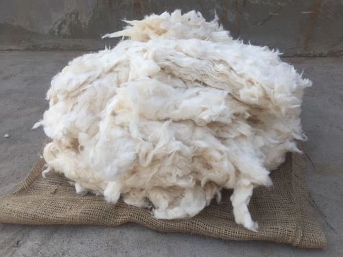 100 Cotton COMBER  NOIL supplier in Pakistan Sootter
